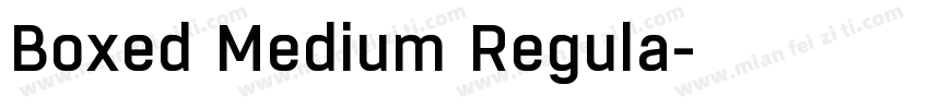Boxed Medium Regula字体转换